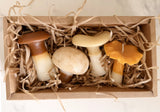 Decorative Mushroom Candle Sets | Cute Botanical Candle | Rustic Home Accent | Scented Candle