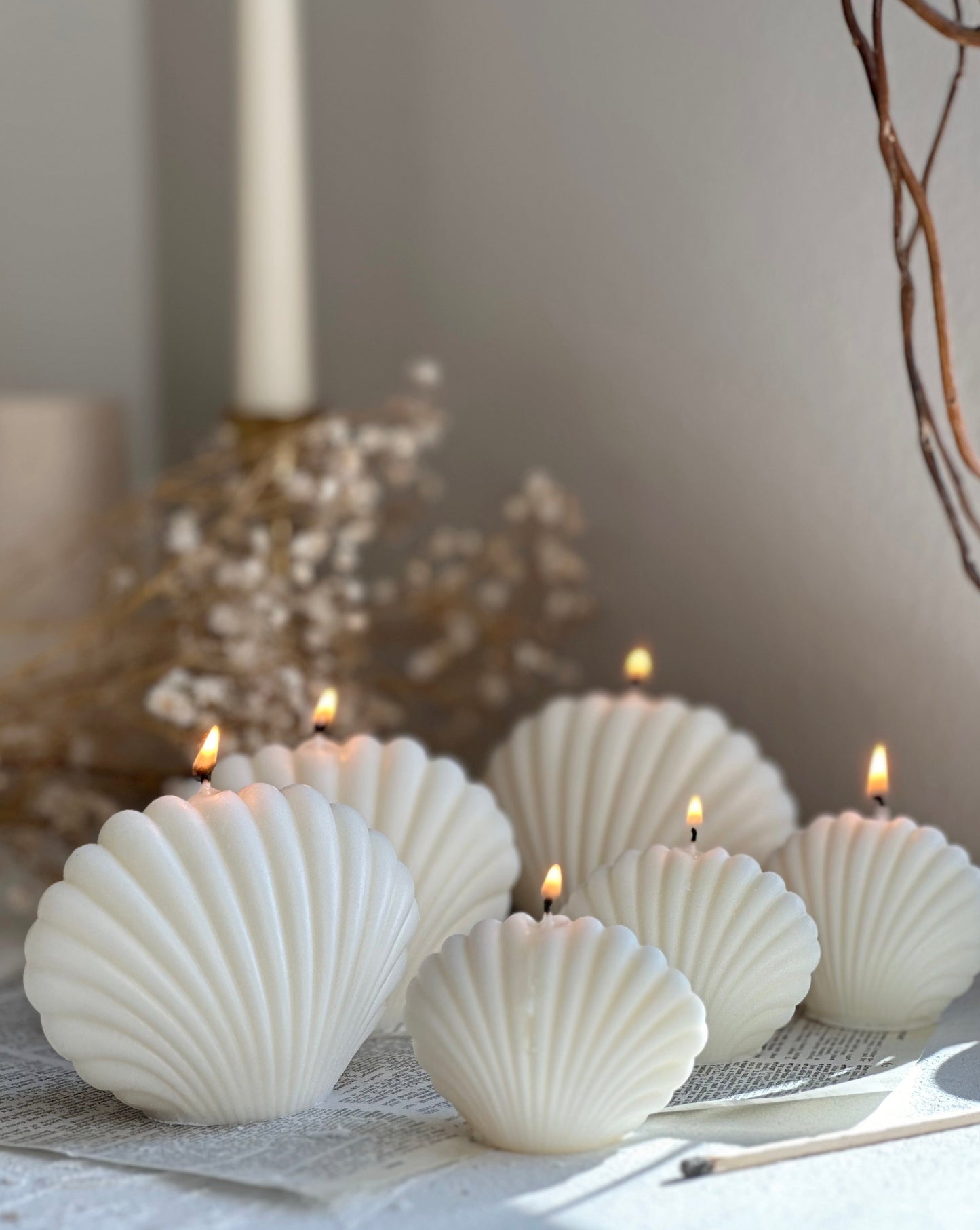 Classic Sea Shell Candle