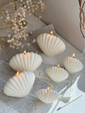 Classic Sea Shell Candle