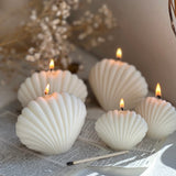 Classic Sea Shell Candle