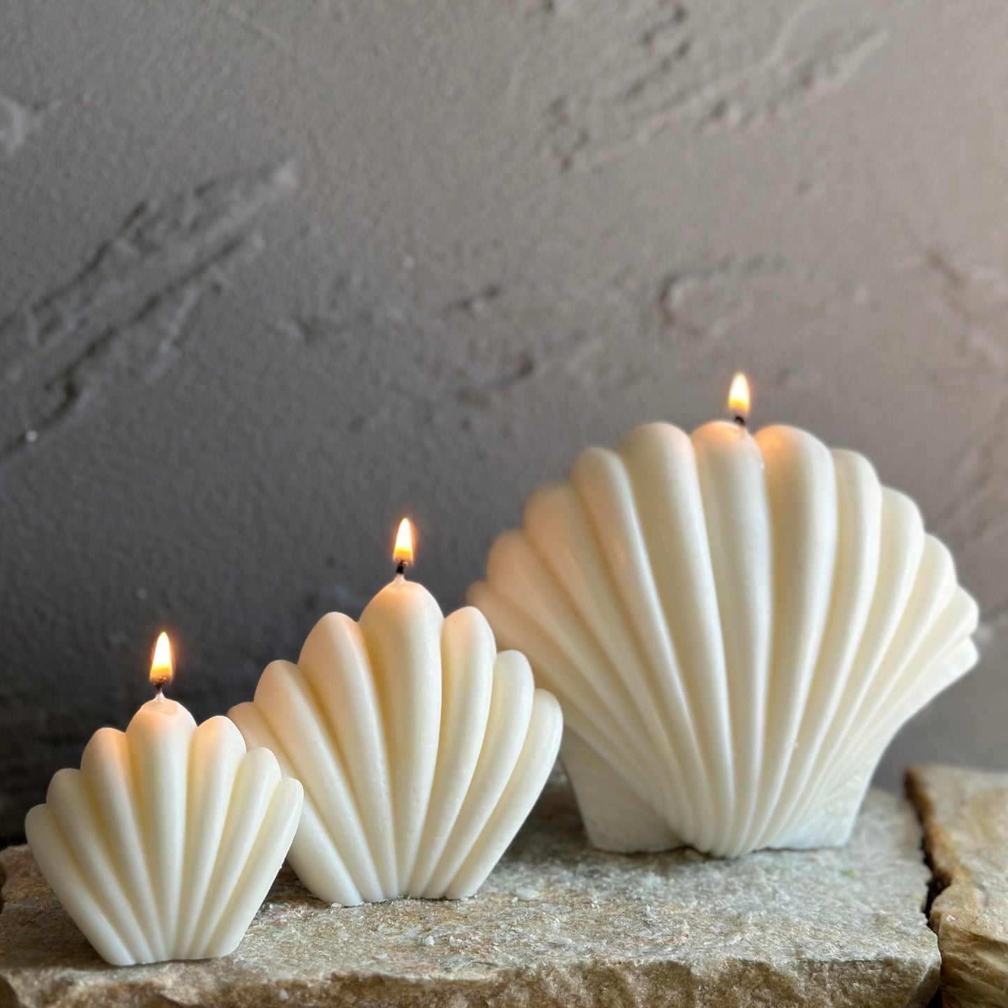 Ivory Sea Shell Candle（1 pc）