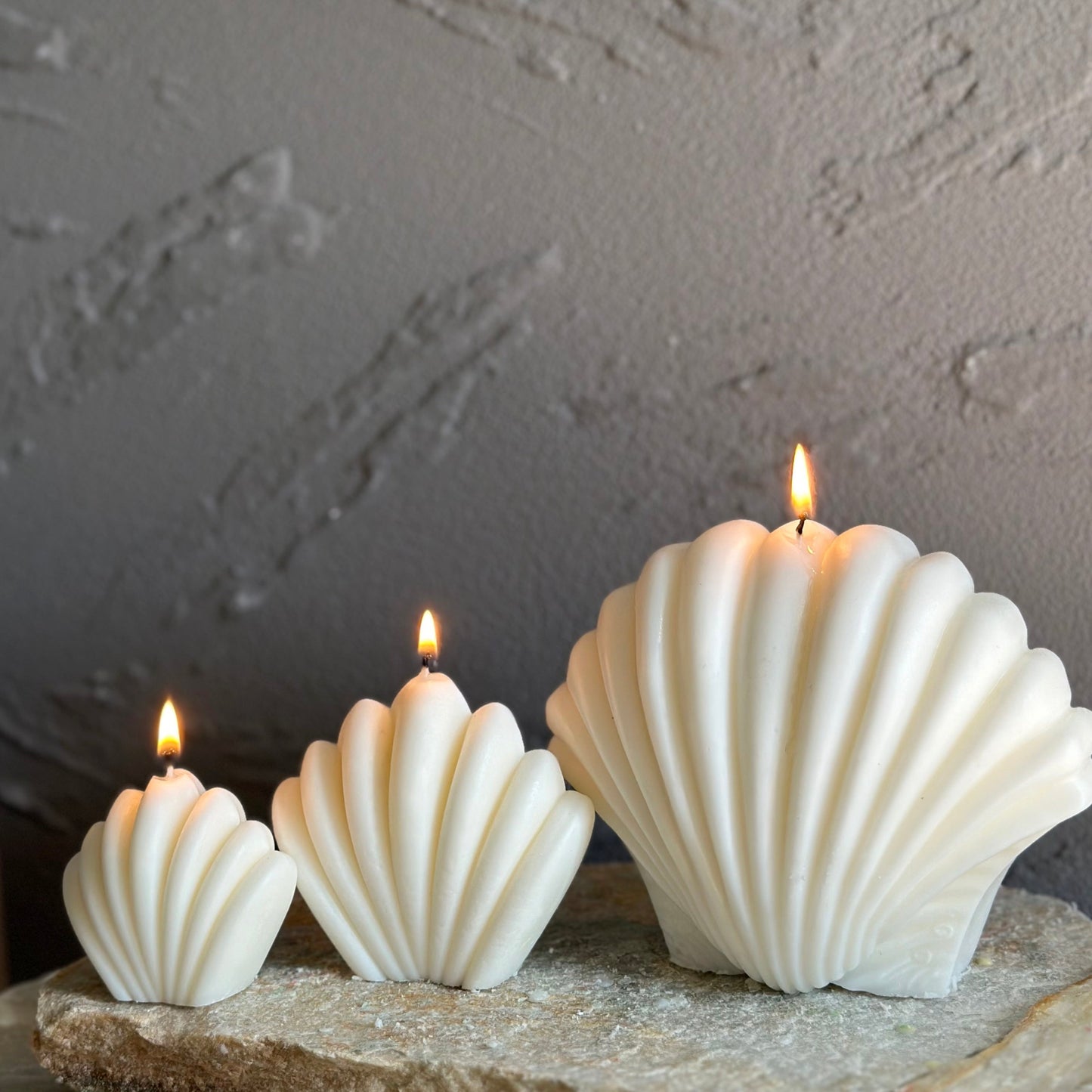 Ivory Sea Shell Candle（1 pc）