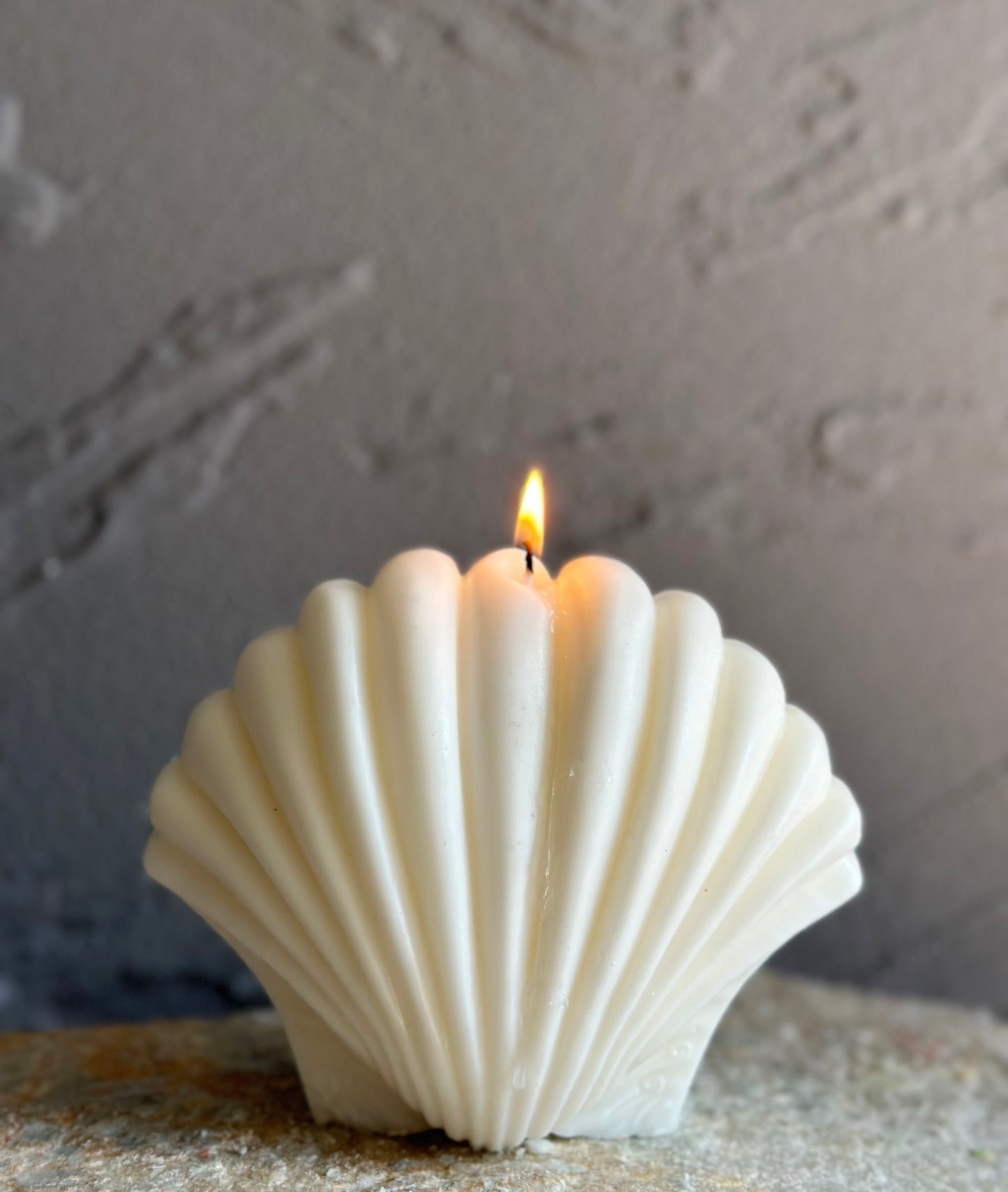 Ivory Sea Shell Candle（1 pc）