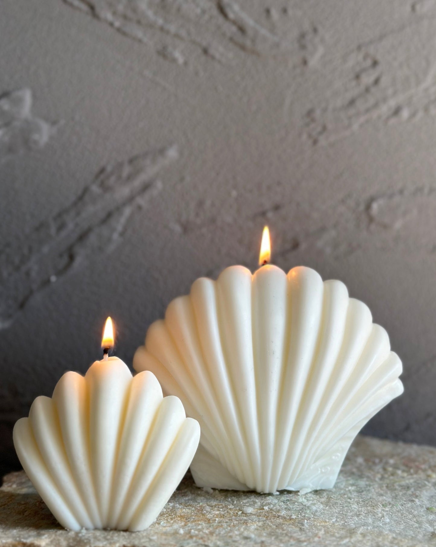 Ivory Sea Shell Candle（1 pc）