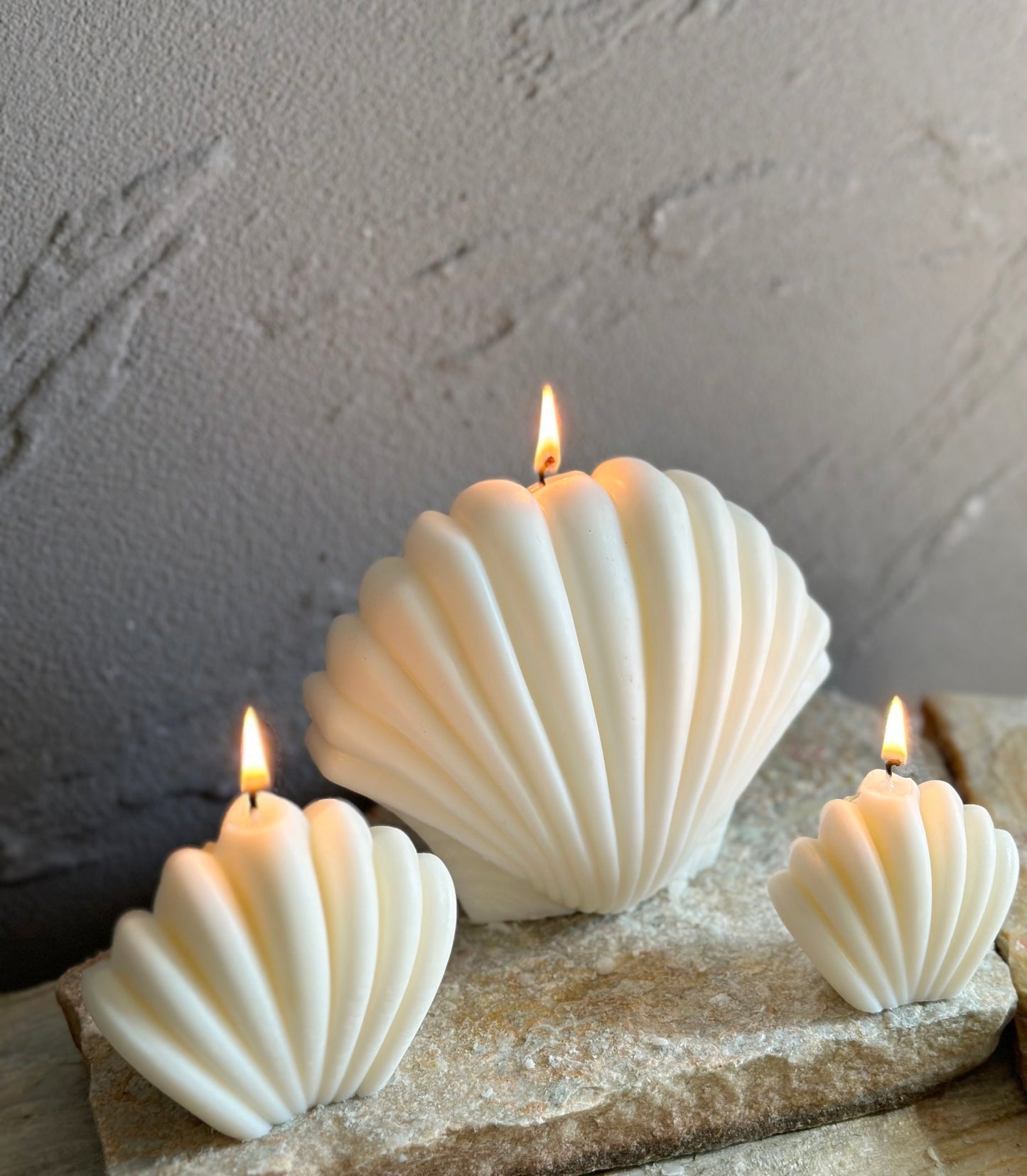 Ivory Sea Shell Candle（1 pc）