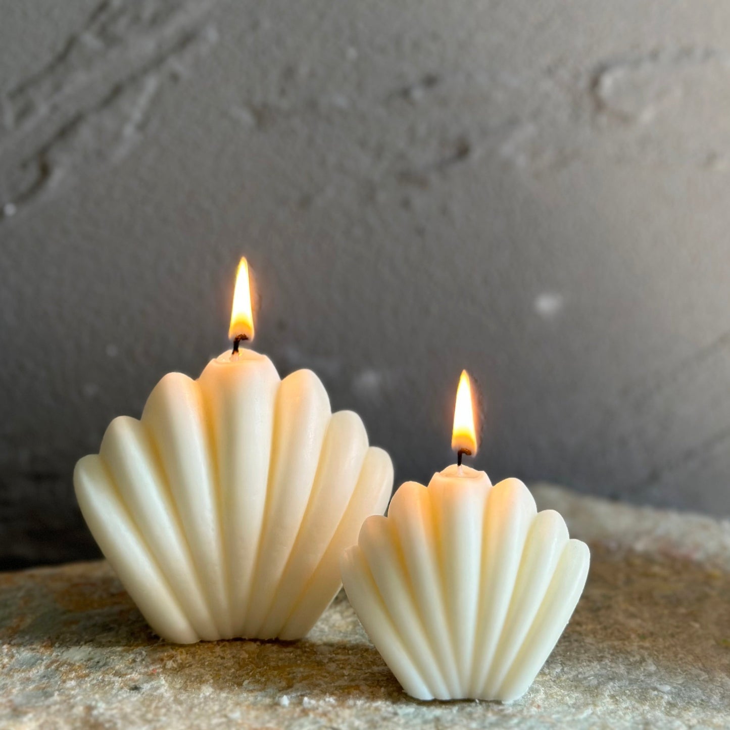 Ivory Sea Shell Candle（1 pc）