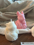 Bunny in Eggshell Candle – Rabbit Sitting in Egg with Flower Decor