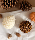 Pinecone Candle | Handmade Soy Wax Woodland Candle | Rustic Fall & Winter Home Decor