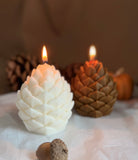 Pinecone Candle | Handmade Soy Wax Woodland Candle | Rustic Fall & Winter Home Decor