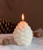 Pinecone Candle | Handmade Soy Wax Woodland Candle | Rustic Fall & Winter Home Decor