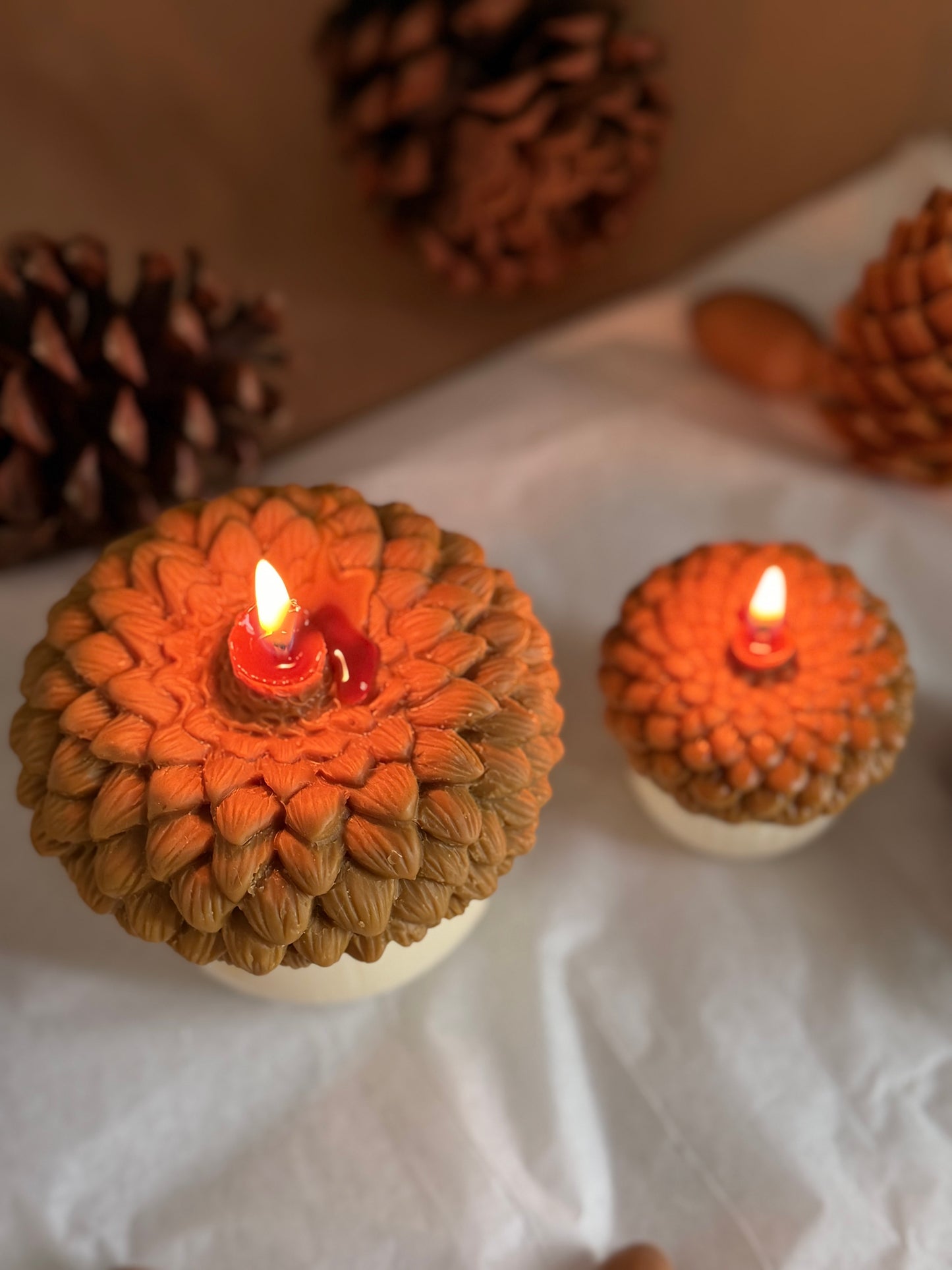 Forest Acorn Candle